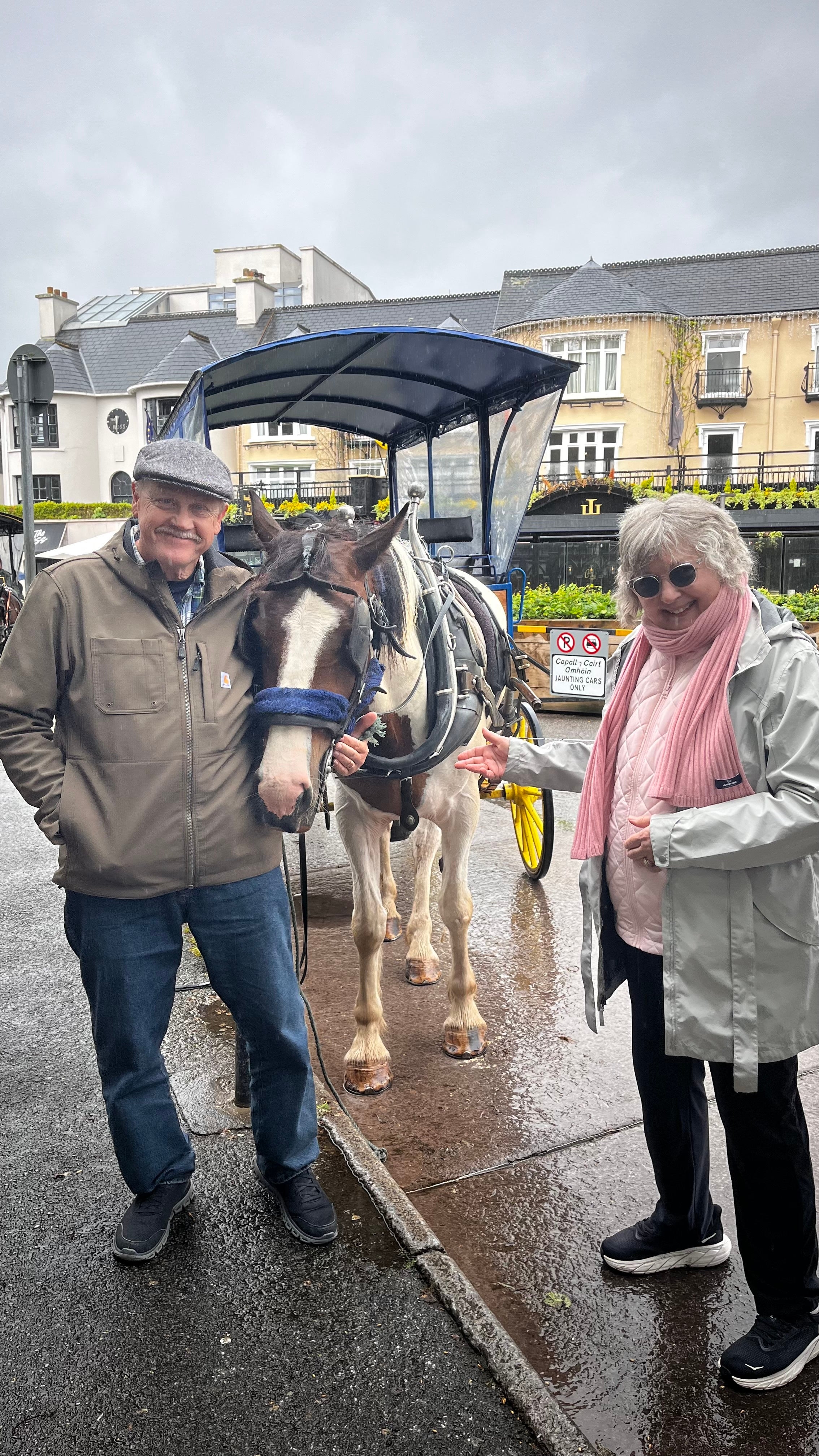 Pam M. - Enchanting Ireland - Killarney Buggy Ride
